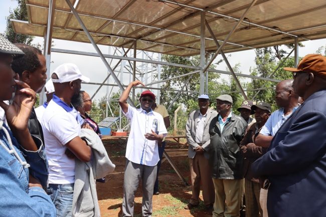 355855575_574955811479334_7115169635817188154_n