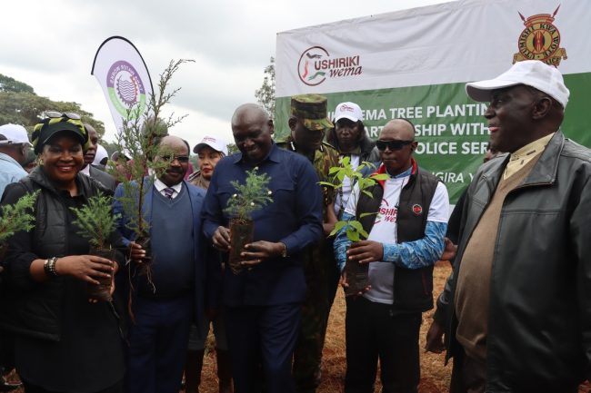 357589198_579804314327817_7232384728781328015_n