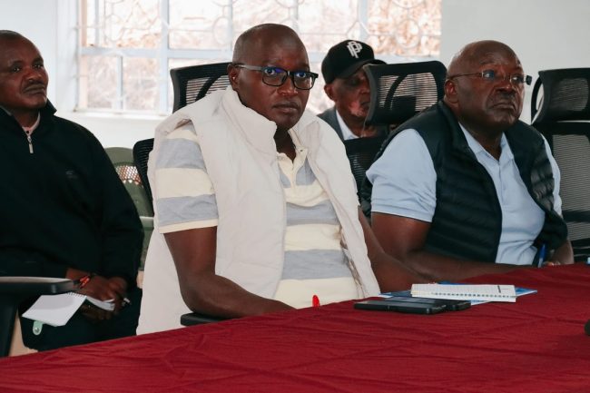 378537734_621386543502927_6253394186263701927_n