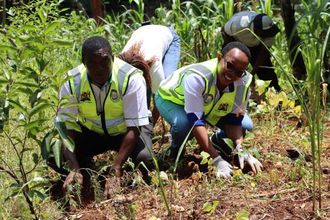 509998378_1021078293533748_6972206152364488629_n